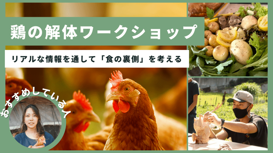 【神奈川】鶏の解体ワークショップで「食の裏側」を考える