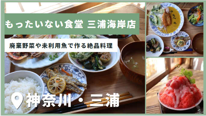 廃棄野菜や未利用魚で作る絶品料理「もったいない食堂 三浦海岸店」
