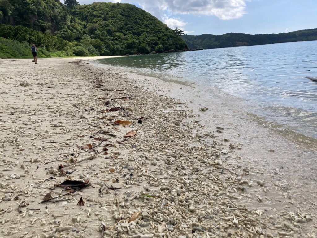 星野リゾート西表島ホテル